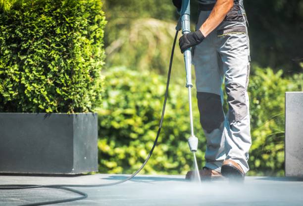 Best Driveway Pressure Washing  in Delano, CA
